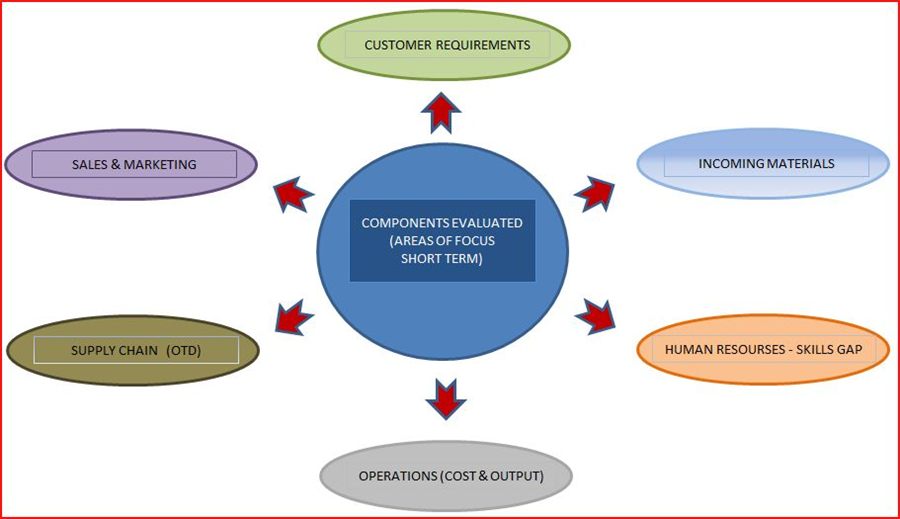 Diagram of six areas evaluated: customer requirements, incoming materials, skills gap, operations, supply chain, sales and marketing